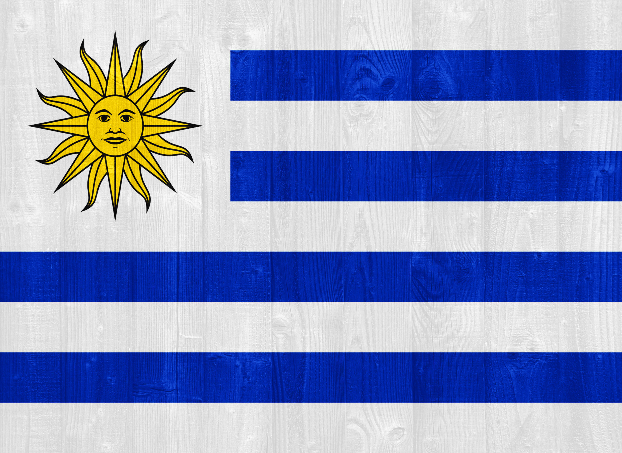 gorgeous Uruguay flag painted on a wood plank texture