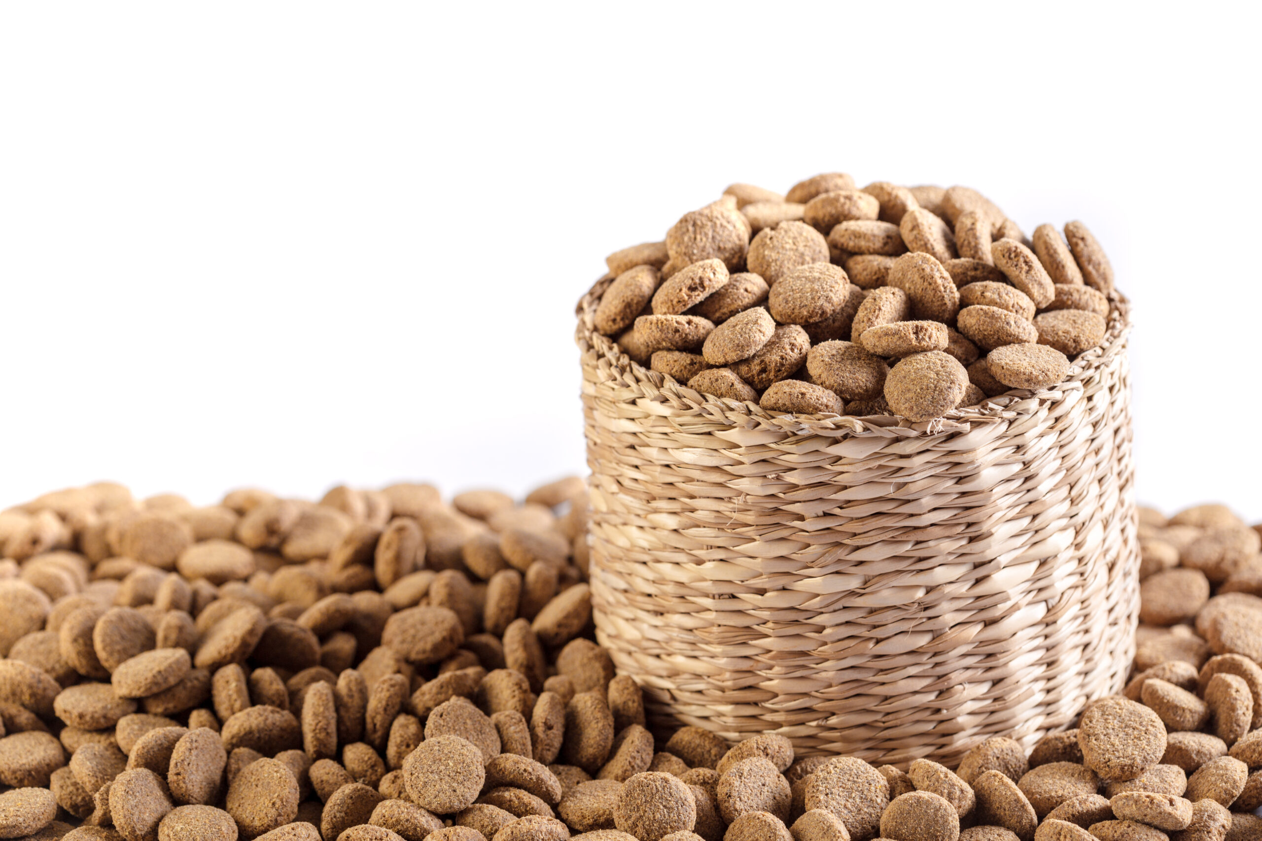 dry dog food isolated on white background