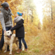 Father and son patting dogs head