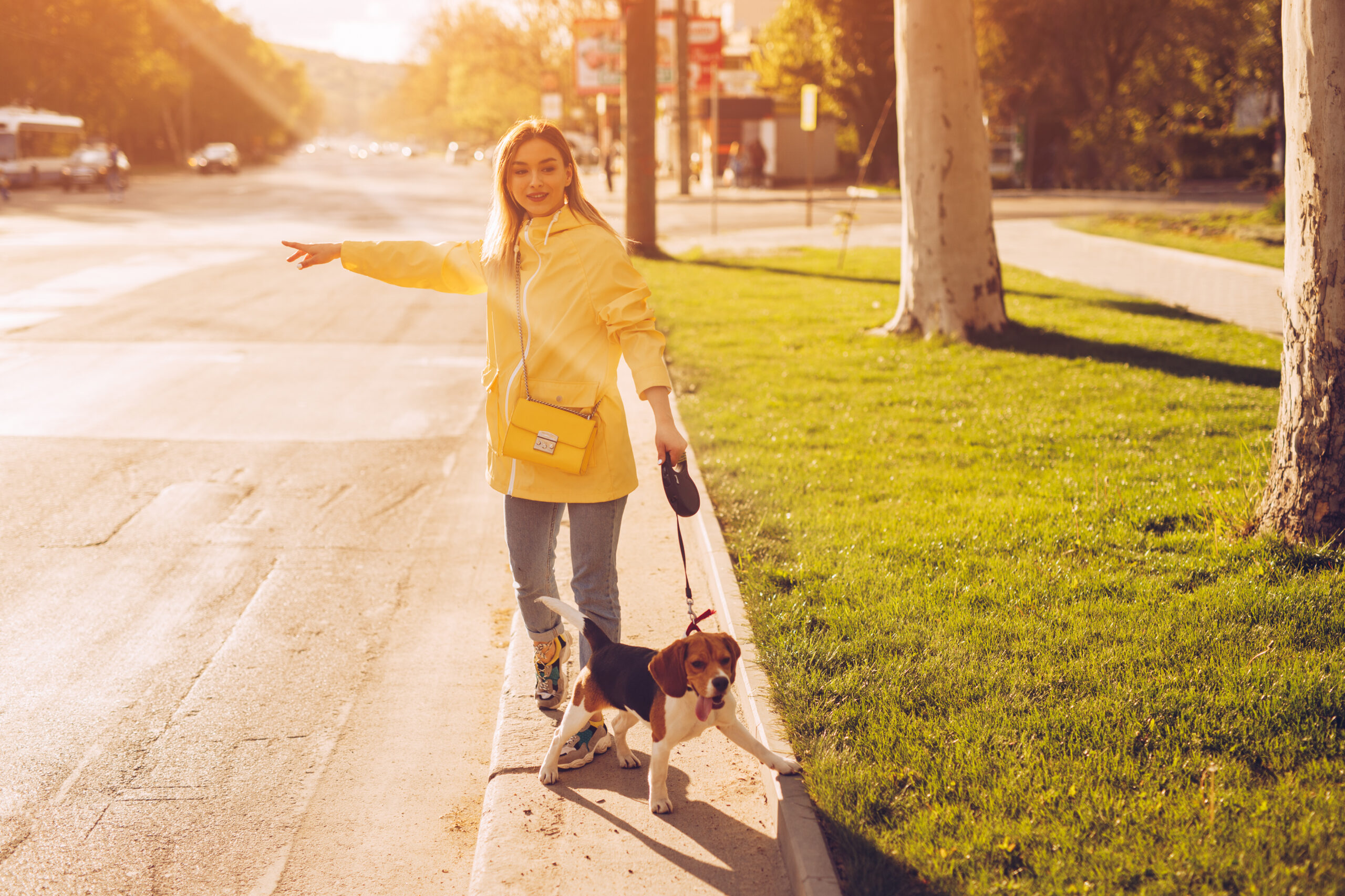 Full length young female with funny Beagle on leash stretching out arm and catching taxi while standing on roadside near park in city