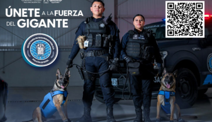 Captura de pantalla 2023-11-25 171713