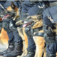 Captura de pantalla 2023-12-23 083537
