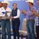 Imagen46