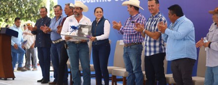 Imagen46