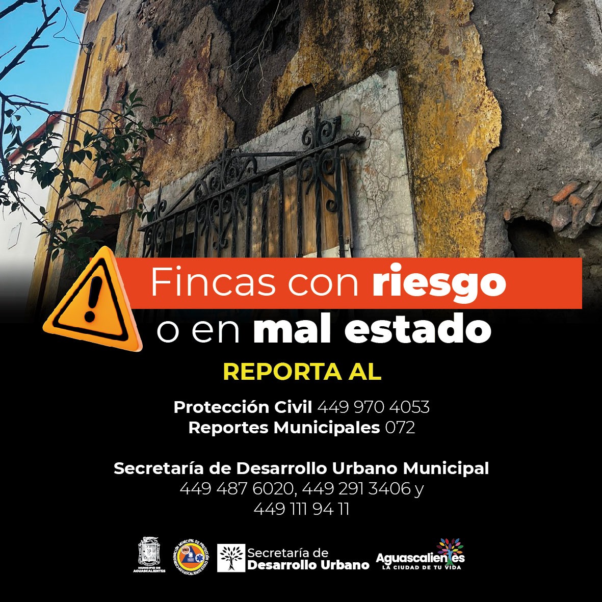 Imagen-de-WhatsApp-2024-07-29-a-las-15.14.55_0d6bc560